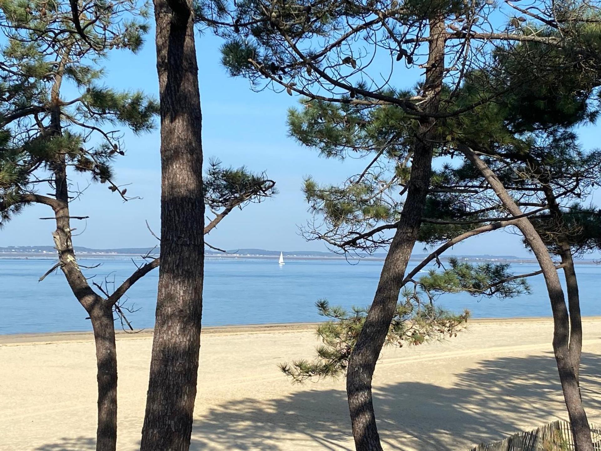Hotel Particulier - Les Lodges Du Bassin D'Arcachon- Petit-Dejeuner Sur Demande- Prestations Haut De Gamme 구장메스트라 외부 사진