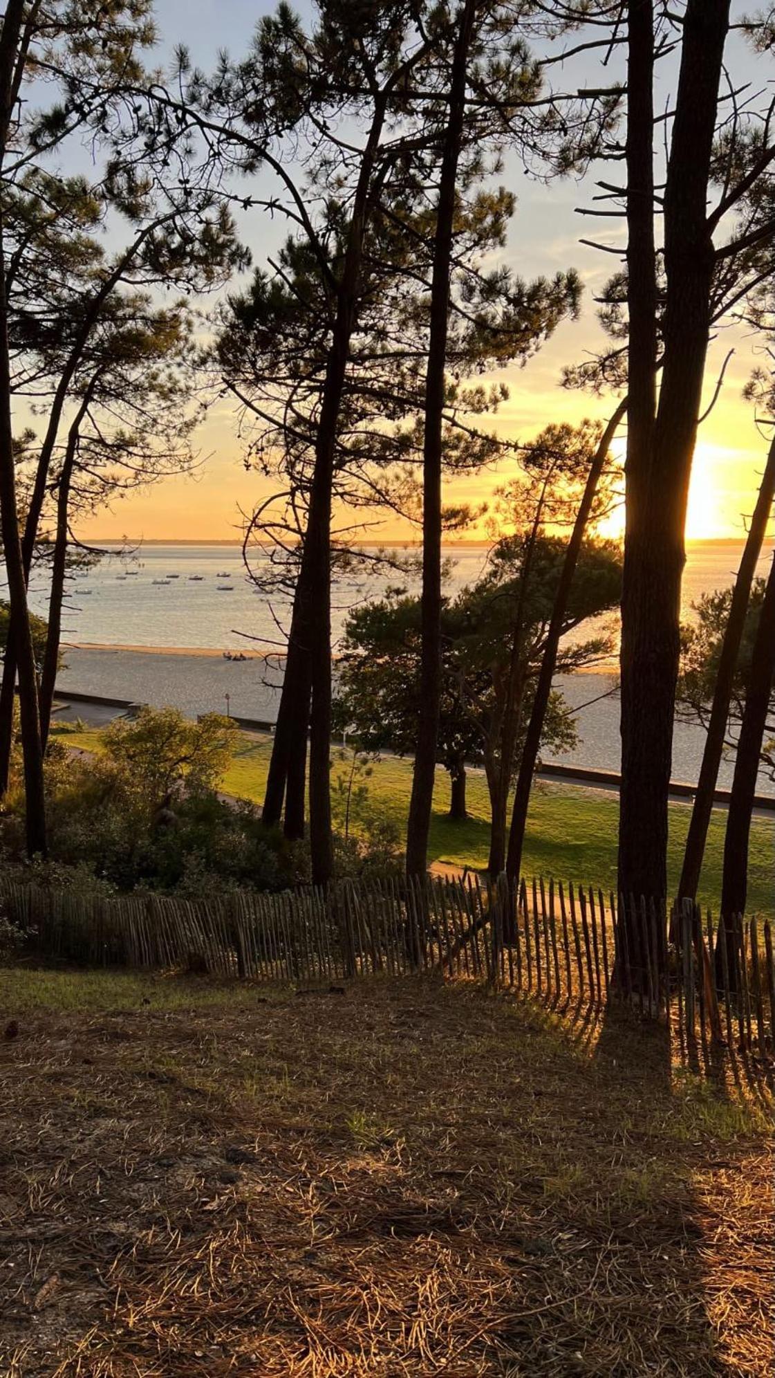 Hotel Particulier - Les Lodges Du Bassin D'Arcachon- Petit-Dejeuner Sur Demande- Prestations Haut De Gamme 구장메스트라 외부 사진