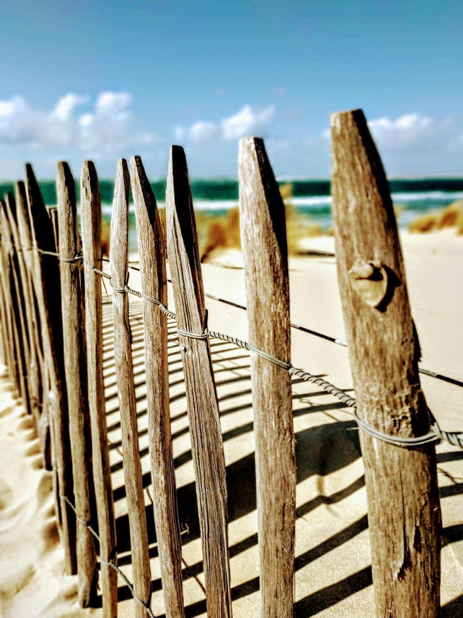 Hotel Particulier - Les Lodges Du Bassin D'Arcachon- Petit-Dejeuner Sur Demande- Prestations Haut De Gamme 구장메스트라 외부 사진